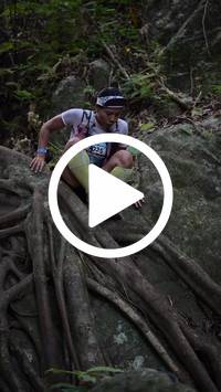 BIB:  <button type="button" onclick="openModal(27943356)" class="btn btn-primary btn-sm float-right" data-toggle="modal" data-target=".modal-high-quality">
                <i class="fa fa-download"></i> Download
                </button>