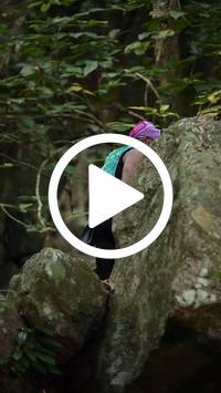 BIB:  <button type="button" onclick="openModal(27943598)" class="btn btn-primary btn-sm float-right" data-toggle="modal" data-target=".modal-high-quality">
                <i class="fa fa-download"></i> Download
                </button>