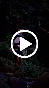 BIB:  <button type="button" onclick="openModal(27946655)" class="btn btn-primary btn-sm float-right" data-toggle="modal" data-target=".modal-high-quality">
                <i class="fa fa-download"></i> Download
                </button>