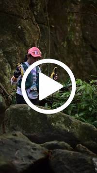 BIB:  <button type="button" onclick="openModal(27946119)" class="btn btn-primary btn-sm float-right" data-toggle="modal" data-target=".modal-high-quality">
                <i class="fa fa-download"></i> Download
                </button>