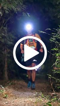 BIB:  <button type="button" onclick="openModal(27960638)" class="btn btn-primary btn-sm float-right" data-toggle="modal" data-target=".modal-high-quality">
                <i class="fa fa-download"></i> Download
                </button>