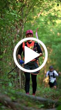 BIB:  <button type="button" onclick="openModal(28086114)" class="btn btn-primary btn-sm float-right" data-toggle="modal" data-target=".modal-high-quality">
                <i class="fa fa-download"></i> Download
                </button>