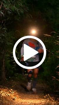 BIB:  <button type="button" onclick="openModal(27959879)" class="btn btn-primary btn-sm float-right" data-toggle="modal" data-target=".modal-high-quality">
                <i class="fa fa-download"></i> Download
                </button>