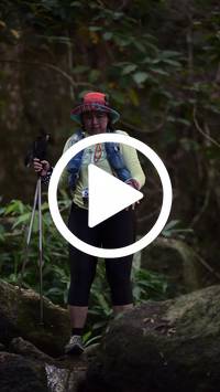 BIB:  <button type="button" onclick="openModal(27946321)" class="btn btn-primary btn-sm float-right" data-toggle="modal" data-target=".modal-high-quality">
                <i class="fa fa-download"></i> Download
                </button>