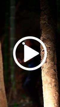 BIB:  <button type="button" onclick="openModal(27947620)" class="btn btn-primary btn-sm float-right" data-toggle="modal" data-target=".modal-high-quality">
                <i class="fa fa-download"></i> Download
                </button>