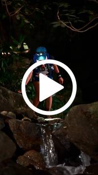 BIB:  <button type="button" onclick="openModal(27947855)" class="btn btn-primary btn-sm float-right" data-toggle="modal" data-target=".modal-high-quality">
                <i class="fa fa-download"></i> Download
                </button>