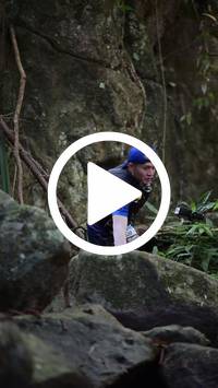 BIB:  <button type="button" onclick="openModal(27945577)" class="btn btn-primary btn-sm float-right" data-toggle="modal" data-target=".modal-high-quality">
                <i class="fa fa-download"></i> Download
                </button>