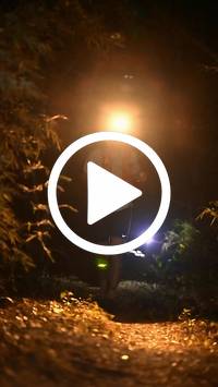 BIB:  <button type="button" onclick="openModal(27960090)" class="btn btn-primary btn-sm float-right" data-toggle="modal" data-target=".modal-high-quality">
                <i class="fa fa-download"></i> Download
                </button>