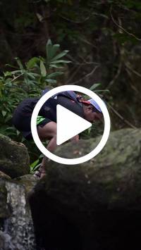 BIB:  <button type="button" onclick="openModal(27944911)" class="btn btn-primary btn-sm float-right" data-toggle="modal" data-target=".modal-high-quality">
                <i class="fa fa-download"></i> Download
                </button>