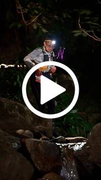 BIB:  <button type="button" onclick="openModal(27947986)" class="btn btn-primary btn-sm float-right" data-toggle="modal" data-target=".modal-high-quality">
                <i class="fa fa-download"></i> Download
                </button>