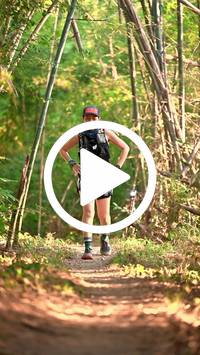 BIB:  <button type="button" onclick="openModal(28085276)" class="btn btn-primary btn-sm float-right" data-toggle="modal" data-target=".modal-high-quality">
                <i class="fa fa-download"></i> Download
                </button>