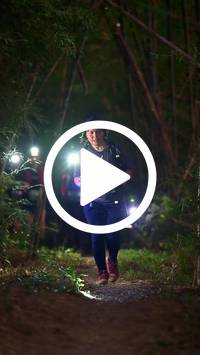 BIB:  <button type="button" onclick="openModal(27961424)" class="btn btn-primary btn-sm float-right" data-toggle="modal" data-target=".modal-high-quality">
                <i class="fa fa-download"></i> Download
                </button>