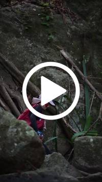 BIB:  <button type="button" onclick="openModal(27943391)" class="btn btn-primary btn-sm float-right" data-toggle="modal" data-target=".modal-high-quality">
                <i class="fa fa-download"></i> Download
                </button>