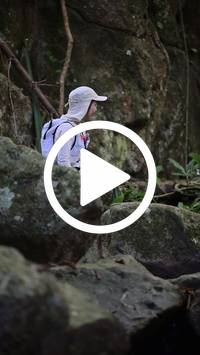 BIB:  <button type="button" onclick="openModal(27945465)" class="btn btn-primary btn-sm float-right" data-toggle="modal" data-target=".modal-high-quality">
                <i class="fa fa-download"></i> Download
                </button>