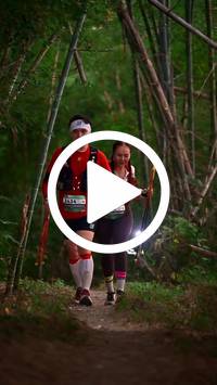 BIB:  <button type="button" onclick="openModal(27962006)" class="btn btn-primary btn-sm float-right" data-toggle="modal" data-target=".modal-high-quality">
                <i class="fa fa-download"></i> Download
                </button>