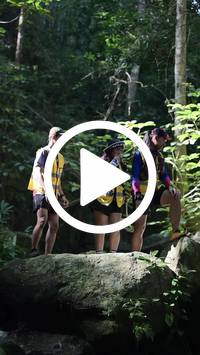 BIB:  <button type="button" onclick="openModal(27946498)" class="btn btn-primary btn-sm float-right" data-toggle="modal" data-target=".modal-high-quality">
                <i class="fa fa-download"></i> Download
                </button>