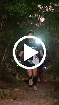 BIB:  <button type="button" onclick="openModal(27961518)" class="btn btn-primary btn-sm float-right" data-toggle="modal" data-target=".modal-high-quality">
                <i class="fa fa-download"></i> Download
                </button>