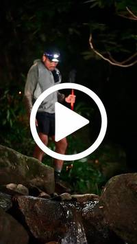 BIB:  <button type="button" onclick="openModal(27946735)" class="btn btn-primary btn-sm float-right" data-toggle="modal" data-target=".modal-high-quality">
                <i class="fa fa-download"></i> Download
                </button>