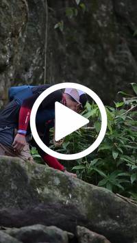 BIB:  <button type="button" onclick="openModal(27943914)" class="btn btn-primary btn-sm float-right" data-toggle="modal" data-target=".modal-high-quality">
                <i class="fa fa-download"></i> Download
                </button>