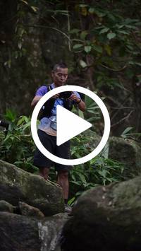 BIB:  <button type="button" onclick="openModal(27944070)" class="btn btn-primary btn-sm float-right" data-toggle="modal" data-target=".modal-high-quality">
                <i class="fa fa-download"></i> Download
                </button>