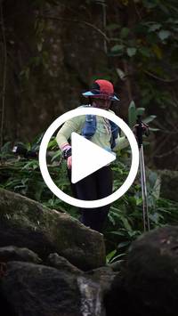 BIB:  <button type="button" onclick="openModal(27946311)" class="btn btn-primary btn-sm float-right" data-toggle="modal" data-target=".modal-high-quality">
                <i class="fa fa-download"></i> Download
                </button>