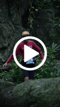 BIB:  <button type="button" onclick="openModal(27943119)" class="btn btn-primary btn-sm float-right" data-toggle="modal" data-target=".modal-high-quality">
                <i class="fa fa-download"></i> Download
                </button>