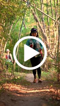 BIB:  <button type="button" onclick="openModal(27964599)" class="btn btn-primary btn-sm float-right" data-toggle="modal" data-target=".modal-high-quality">
                <i class="fa fa-download"></i> Download
                </button>