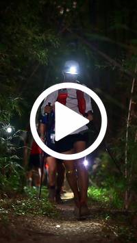 BIB:  <button type="button" onclick="openModal(27961168)" class="btn btn-primary btn-sm float-right" data-toggle="modal" data-target=".modal-high-quality">
                <i class="fa fa-download"></i> Download
                </button>