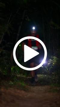 BIB:  <button type="button" onclick="openModal(27960734)" class="btn btn-primary btn-sm float-right" data-toggle="modal" data-target=".modal-high-quality">
                <i class="fa fa-download"></i> Download
                </button>