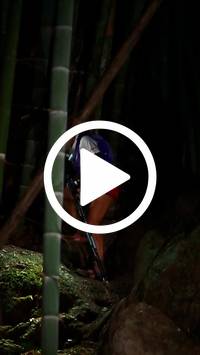 BIB:  <button type="button" onclick="openModal(27948763)" class="btn btn-primary btn-sm float-right" data-toggle="modal" data-target=".modal-high-quality">
                <i class="fa fa-download"></i> Download
                </button>