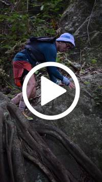 BIB:  <button type="button" onclick="openModal(27943541)" class="btn btn-primary btn-sm float-right" data-toggle="modal" data-target=".modal-high-quality">
                <i class="fa fa-download"></i> Download
                </button>