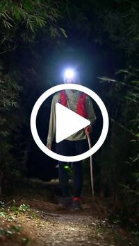 BIB:  <button type="button" onclick="openModal(27960180)" class="btn btn-primary btn-sm float-right" data-toggle="modal" data-target=".modal-high-quality">
                <i class="fa fa-download"></i> Download
                </button>