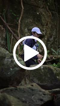 BIB:  <button type="button" onclick="openModal(27944804)" class="btn btn-primary btn-sm float-right" data-toggle="modal" data-target=".modal-high-quality">
                <i class="fa fa-download"></i> Download
                </button>