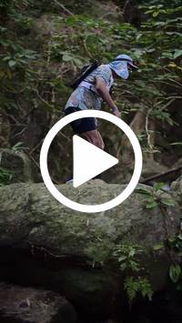 BIB:  <button type="button" onclick="openModal(27944349)" class="btn btn-primary btn-sm float-right" data-toggle="modal" data-target=".modal-high-quality">
                <i class="fa fa-download"></i> Download
                </button>