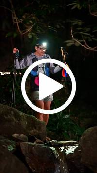 BIB:  <button type="button" onclick="openModal(27947679)" class="btn btn-primary btn-sm float-right" data-toggle="modal" data-target=".modal-high-quality">
                <i class="fa fa-download"></i> Download
                </button>