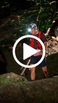 BIB:  <button type="button" onclick="openModal(27948909)" class="btn btn-primary btn-sm float-right" data-toggle="modal" data-target=".modal-high-quality">
                <i class="fa fa-download"></i> Download
                </button>