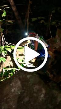 BIB:  <button type="button" onclick="openModal(27948860)" class="btn btn-primary btn-sm float-right" data-toggle="modal" data-target=".modal-high-quality">
                <i class="fa fa-download"></i> Download
                </button>