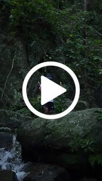 BIB:  <button type="button" onclick="openModal(27943083)" class="btn btn-primary btn-sm float-right" data-toggle="modal" data-target=".modal-high-quality">
                <i class="fa fa-download"></i> Download
                </button>