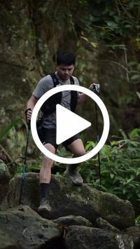 BIB:  <button type="button" onclick="openModal(27945042)" class="btn btn-primary btn-sm float-right" data-toggle="modal" data-target=".modal-high-quality">
                <i class="fa fa-download"></i> Download
                </button>