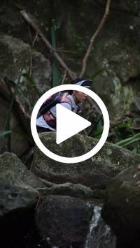 BIB:  <button type="button" onclick="openModal(27943329)" class="btn btn-primary btn-sm float-right" data-toggle="modal" data-target=".modal-high-quality">
                <i class="fa fa-download"></i> Download
                </button>