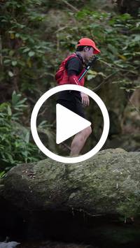 BIB:  <button type="button" onclick="openModal(27944634)" class="btn btn-primary btn-sm float-right" data-toggle="modal" data-target=".modal-high-quality">
                <i class="fa fa-download"></i> Download
                </button>