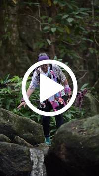 BIB:  <button type="button" onclick="openModal(27945545)" class="btn btn-primary btn-sm float-right" data-toggle="modal" data-target=".modal-high-quality">
                <i class="fa fa-download"></i> Download
                </button>