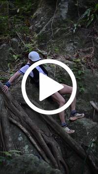 BIB:  <button type="button" onclick="openModal(27943226)" class="btn btn-primary btn-sm float-right" data-toggle="modal" data-target=".modal-high-quality">
                <i class="fa fa-download"></i> Download
                </button>