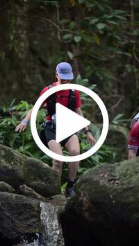 BIB:  <button type="button" onclick="openModal(27945501)" class="btn btn-primary btn-sm float-right" data-toggle="modal" data-target=".modal-high-quality">
                <i class="fa fa-download"></i> Download
                </button>