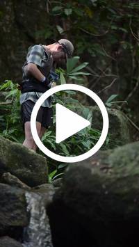 BIB:  <button type="button" onclick="openModal(27945345)" class="btn btn-primary btn-sm float-right" data-toggle="modal" data-target=".modal-high-quality">
                <i class="fa fa-download"></i> Download
                </button>