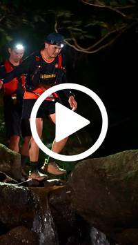 BIB:  <button type="button" onclick="openModal(27948172)" class="btn btn-primary btn-sm float-right" data-toggle="modal" data-target=".modal-high-quality">
                <i class="fa fa-download"></i> Download
                </button>