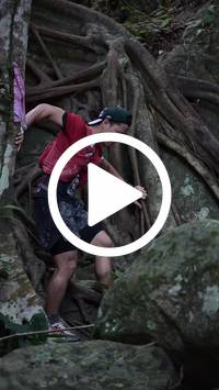 BIB:  <button type="button" onclick="openModal(27943449)" class="btn btn-primary btn-sm float-right" data-toggle="modal" data-target=".modal-high-quality">
                <i class="fa fa-download"></i> Download
                </button>