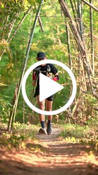 BIB:  <button type="button" onclick="openModal(27965577)" class="btn btn-primary btn-sm float-right" data-toggle="modal" data-target=".modal-high-quality">
                <i class="fa fa-download"></i> Download
                </button>