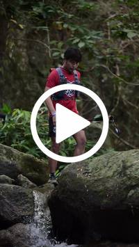 BIB:  <button type="button" onclick="openModal(27944628)" class="btn btn-primary btn-sm float-right" data-toggle="modal" data-target=".modal-high-quality">
                <i class="fa fa-download"></i> Download
                </button>