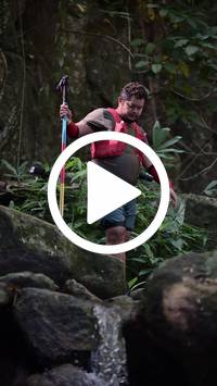 BIB:  <button type="button" onclick="openModal(27945613)" class="btn btn-primary btn-sm float-right" data-toggle="modal" data-target=".modal-high-quality">
                <i class="fa fa-download"></i> Download
                </button>